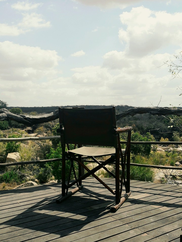 Life in the bushveld