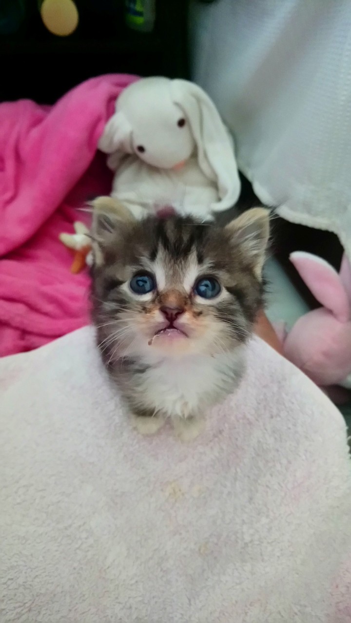 lovely eyes