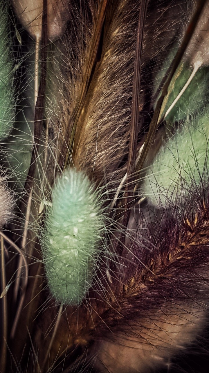 Fluffy :)