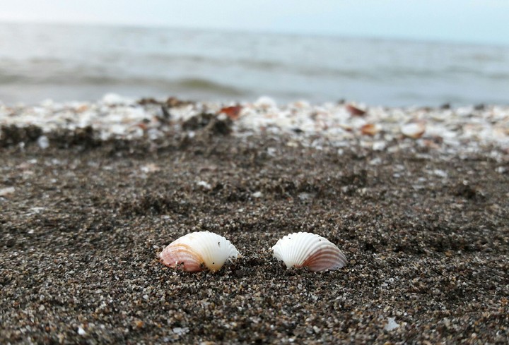 Sea