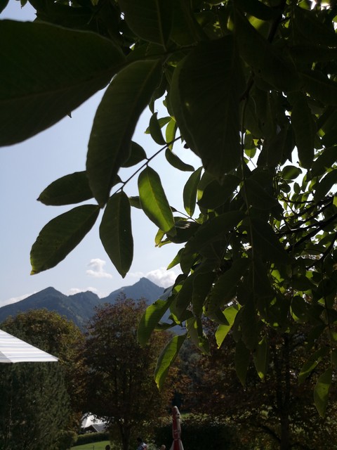 mountains