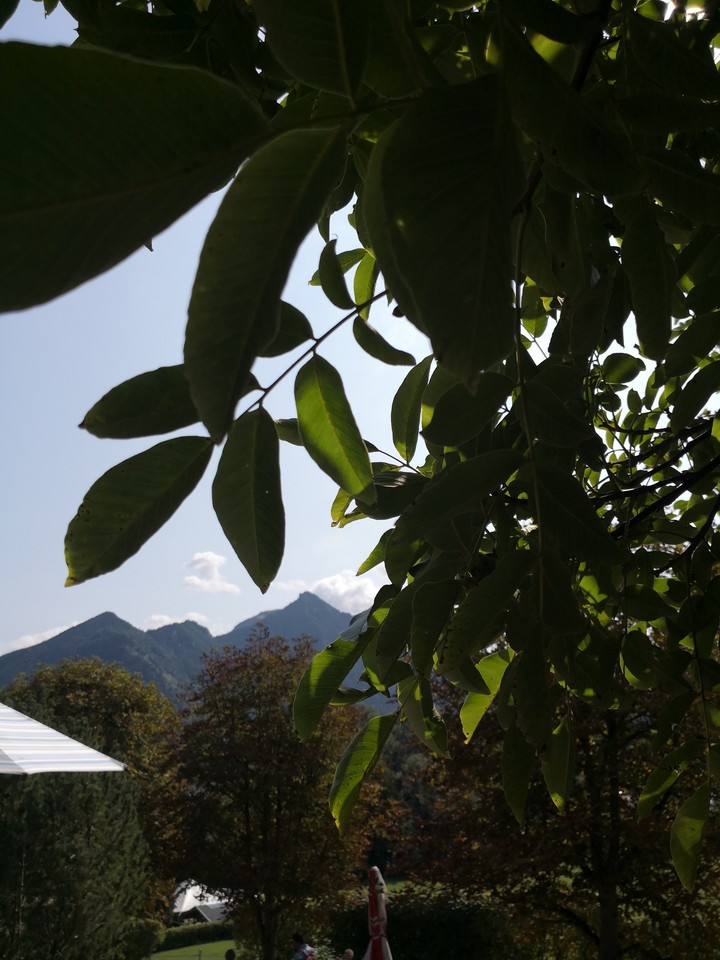 mountains