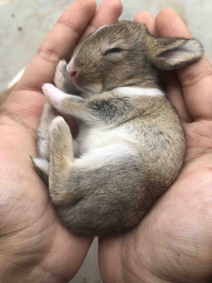new life