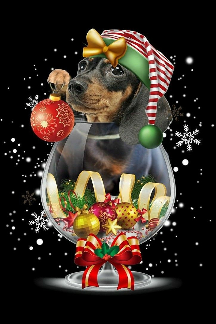 It's Christmas Time