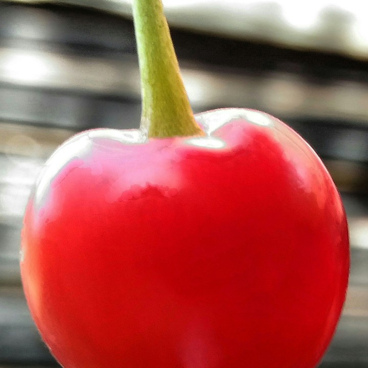 cherry