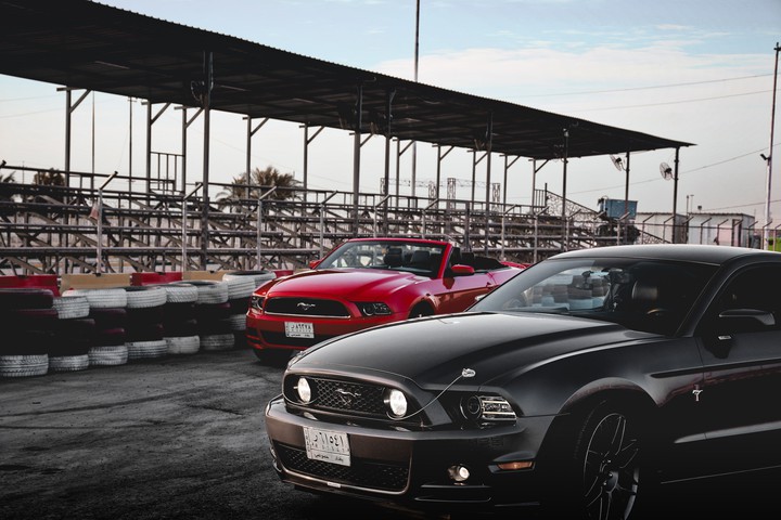 mustang's