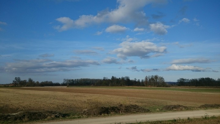 Automn