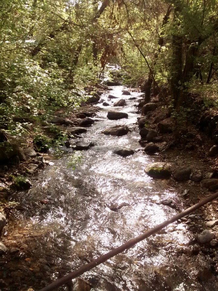 water
