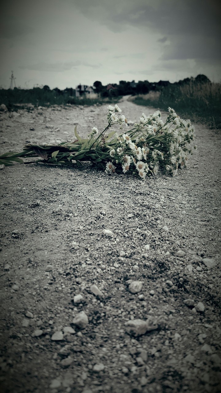 Broken Heart