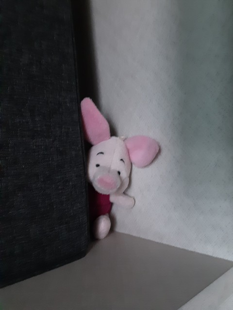 Pig Hide