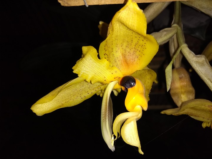 Una mirada de la naturaleza.