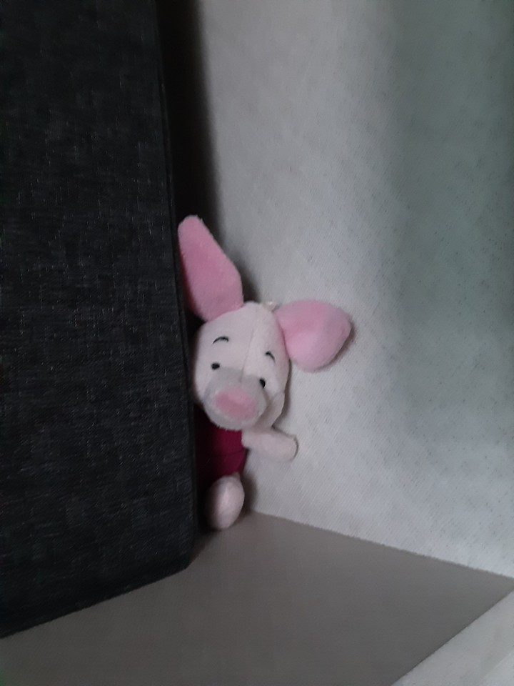 Pig Hide