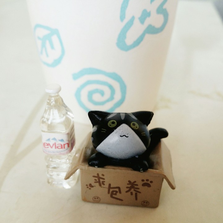 야옹