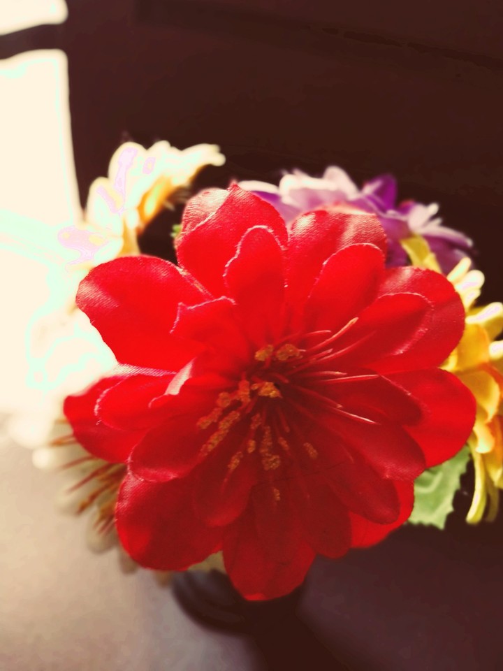 ##TheFlowerzzzzzMania