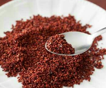 ragi