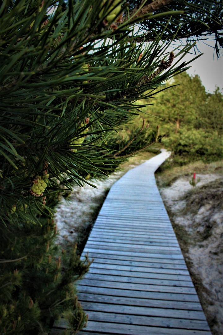 Walk to the sea