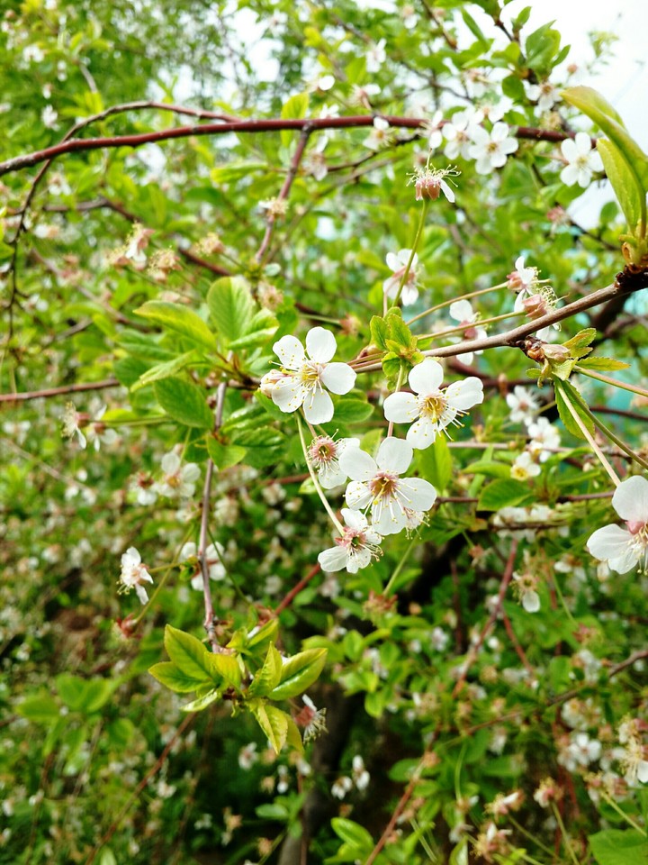 It's spring