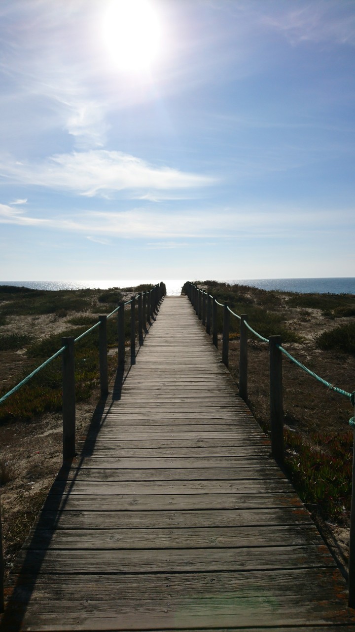 to the sea 