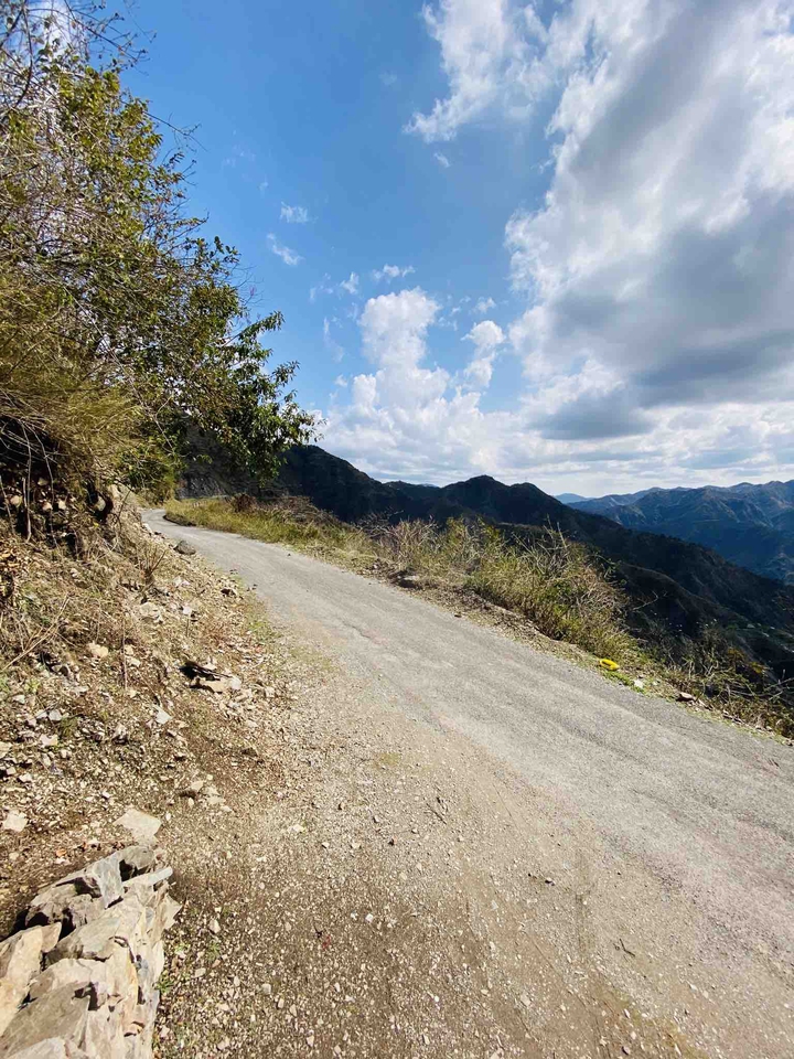 roads