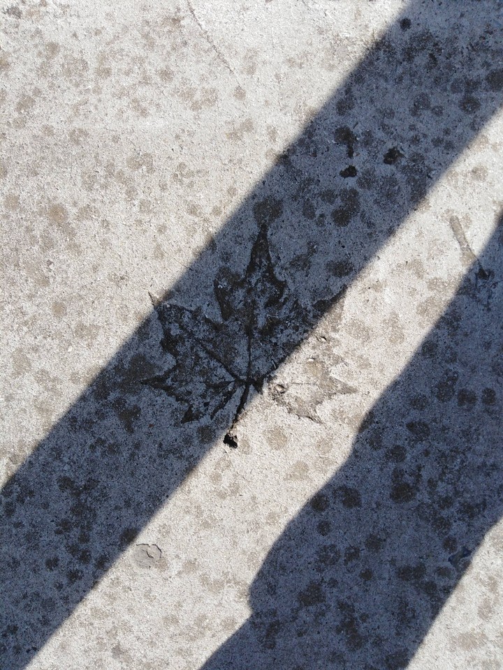 flower béton