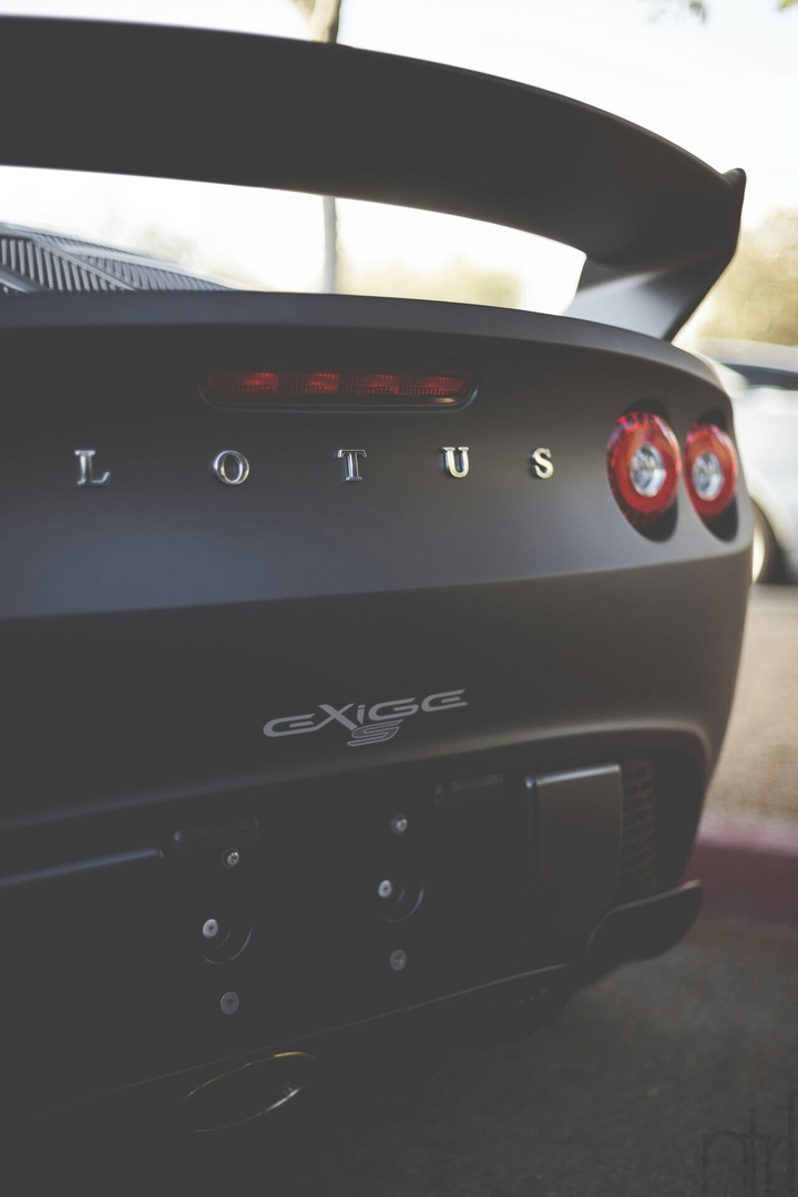 lotus