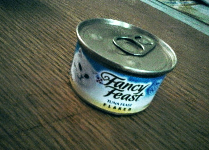 Cat Food
