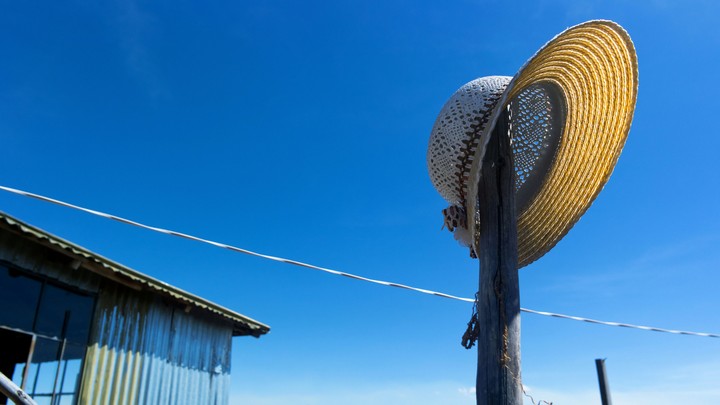 Sky Cap