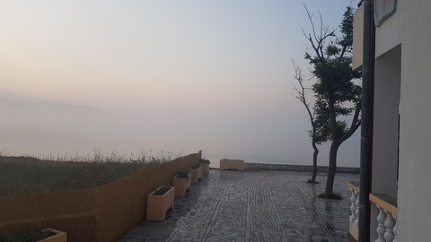 Morning fog