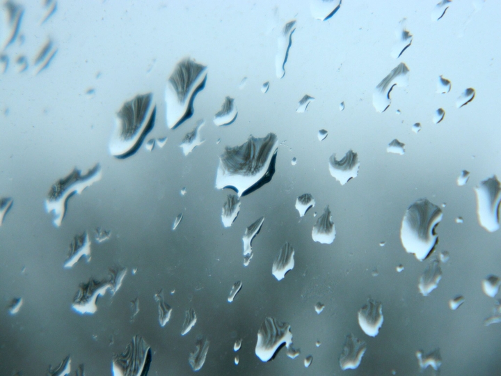 Dreaming of Rainy Days