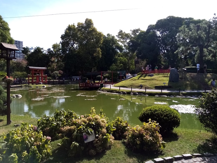 Japanese garden.