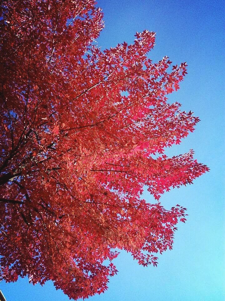 autunno