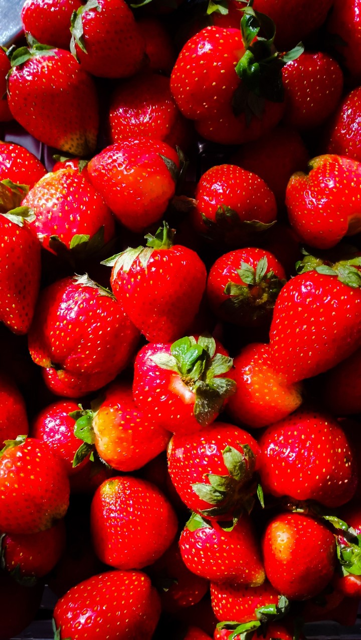 strawberry 