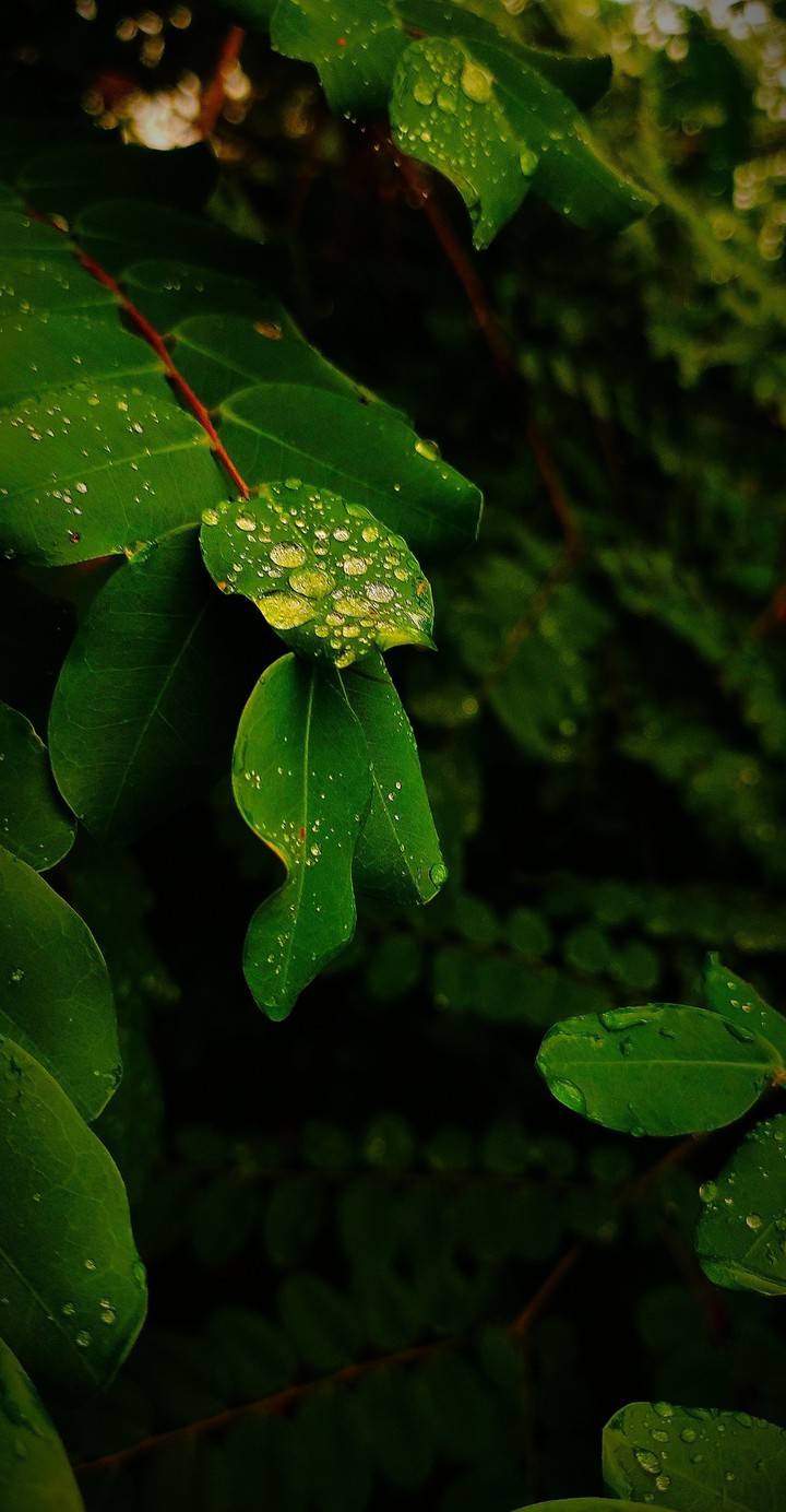 rainy day