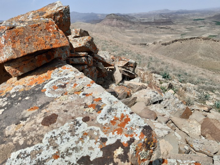 iran