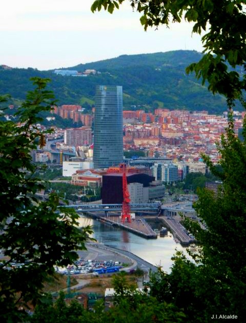 ταπετσαρίες tree, bizkaia