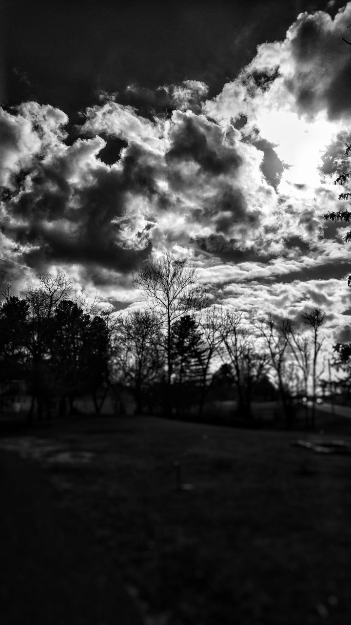 black and white