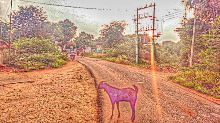 viji