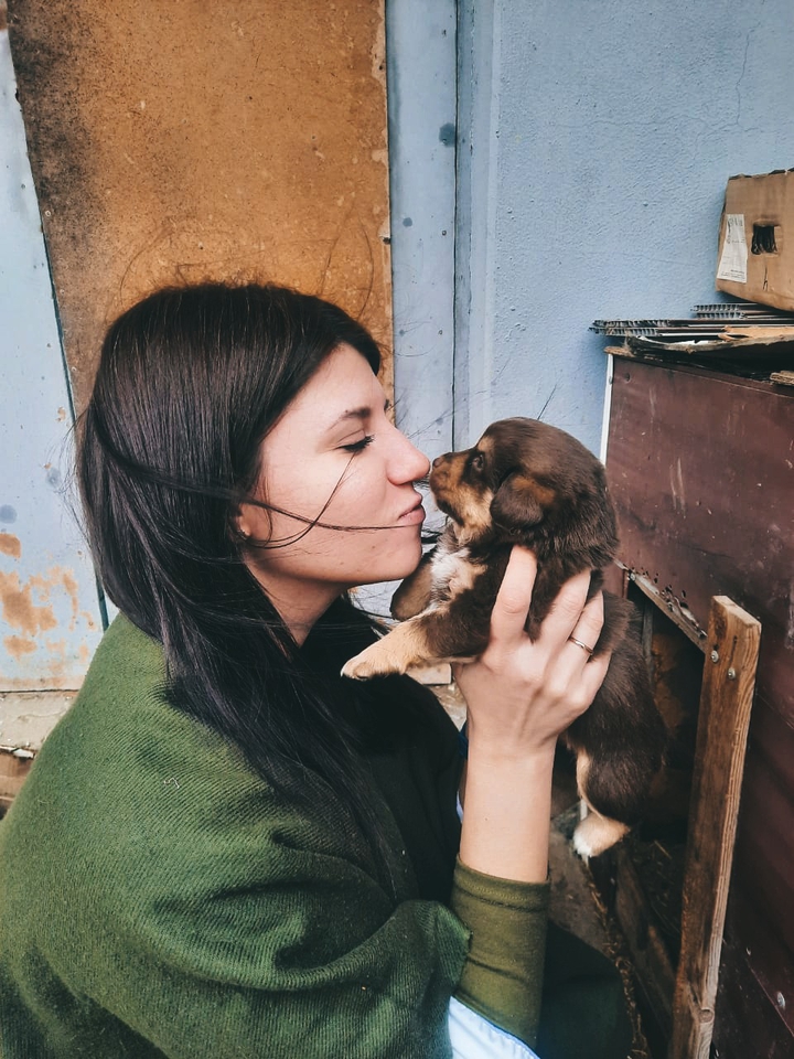 собака