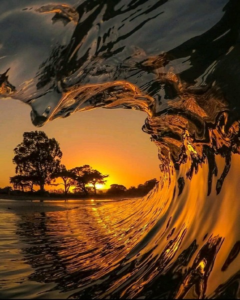 SEA SURF