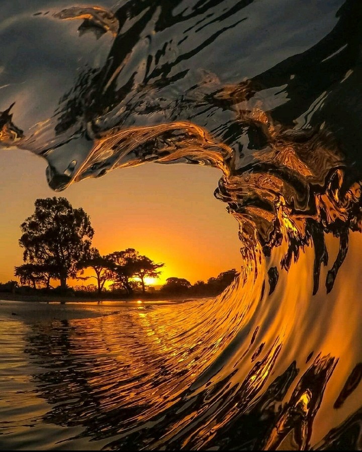 SEA SURF