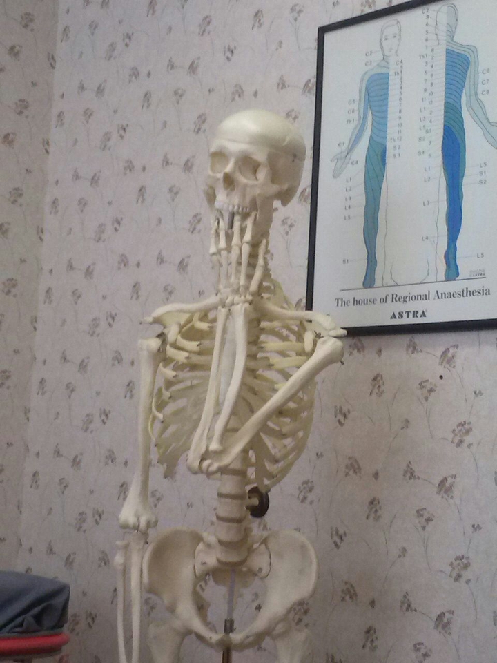 Dr Bones