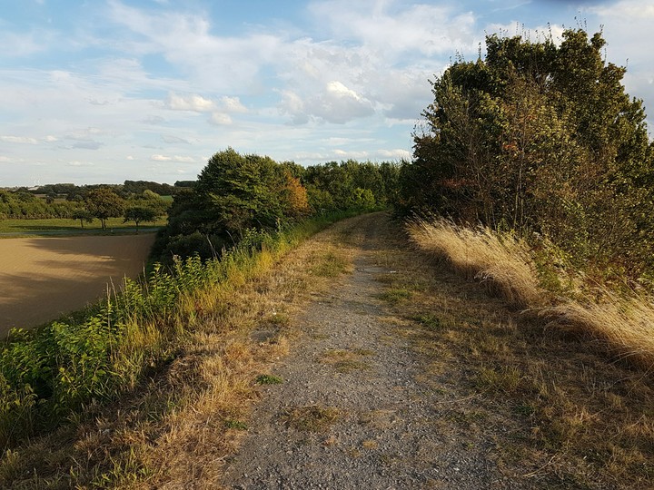 dieser Weg..