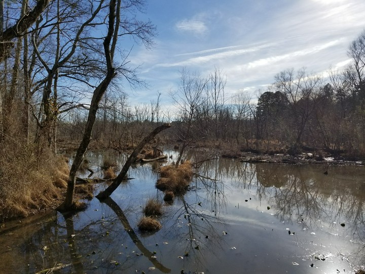 walking near a lake