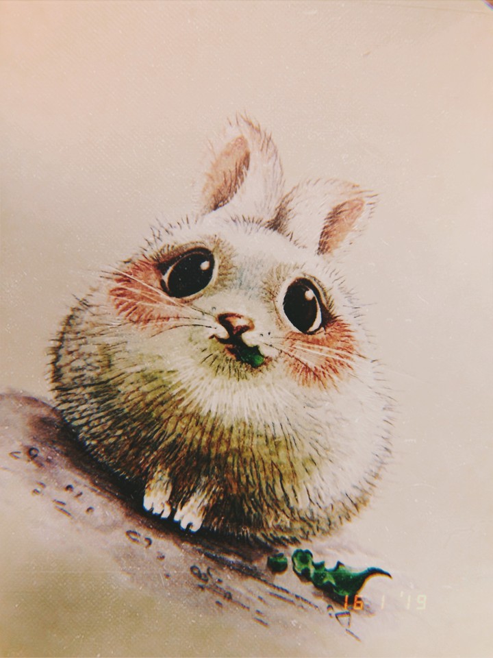зайка