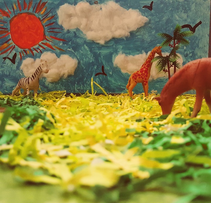 Grassland