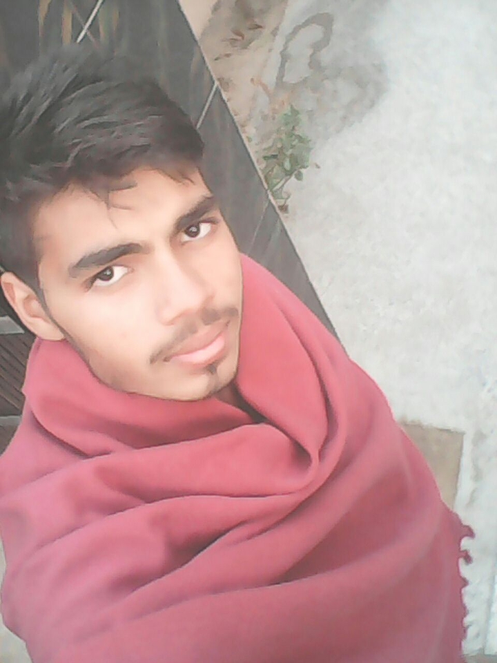 yogi