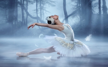 dance ballerina