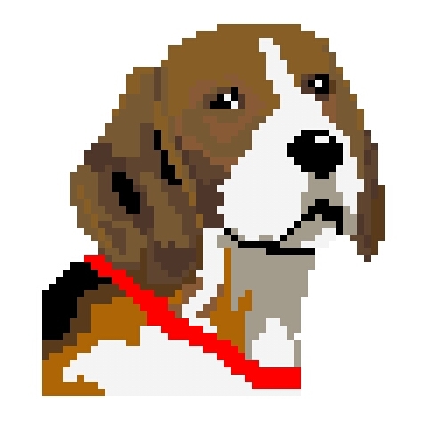 Cachorros