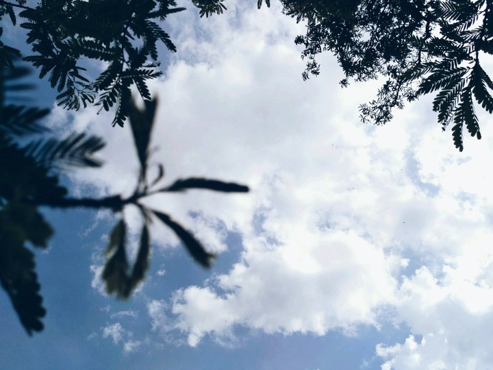 sky