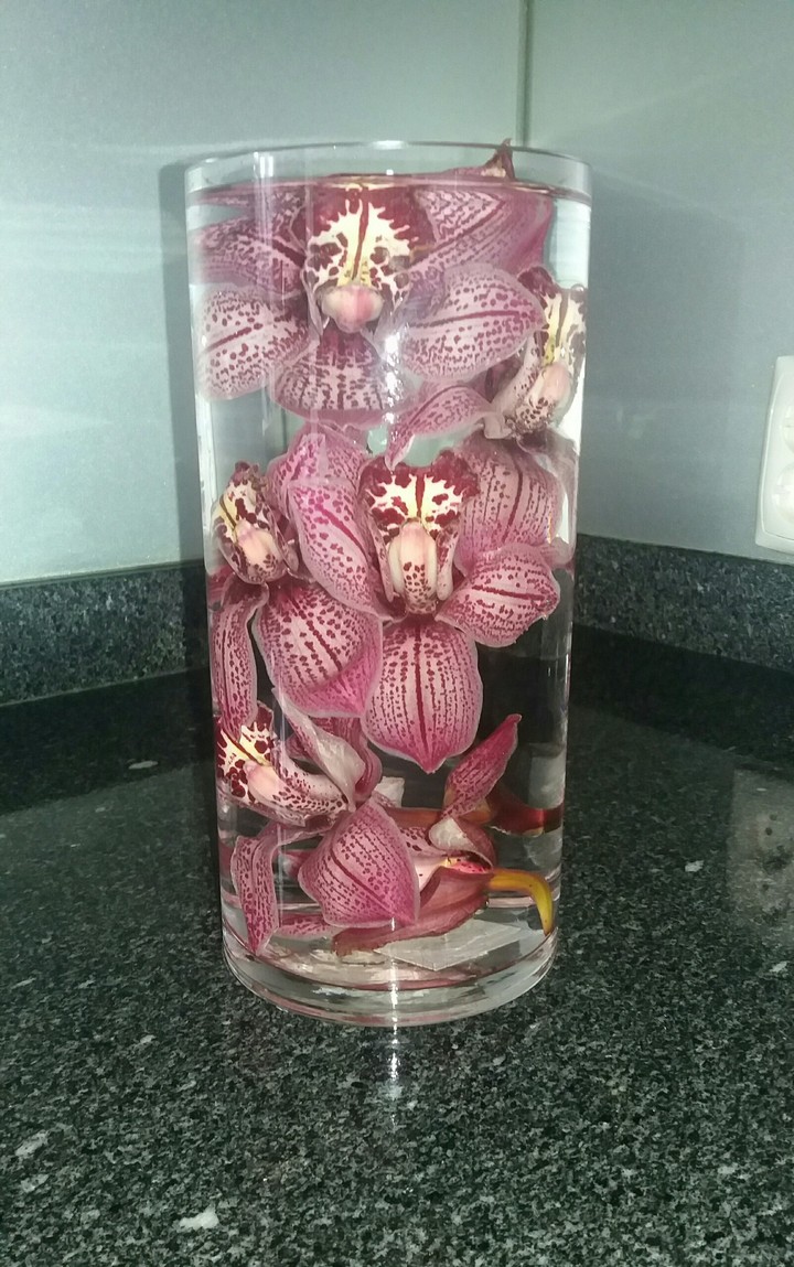 orquideas